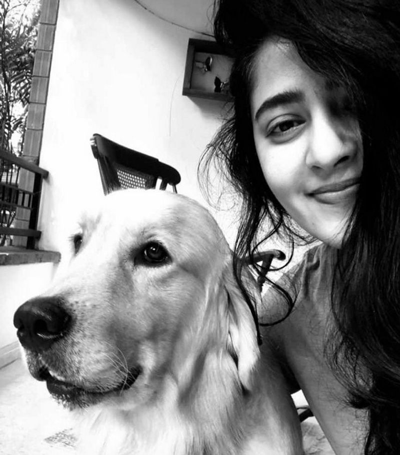 Movie Celebs and their pets