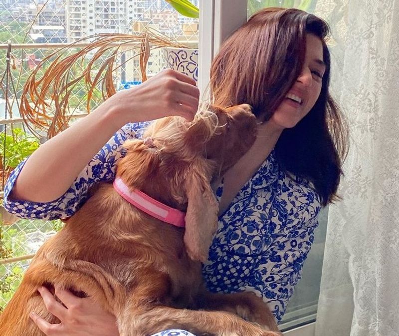 Movie Celebs and their pets