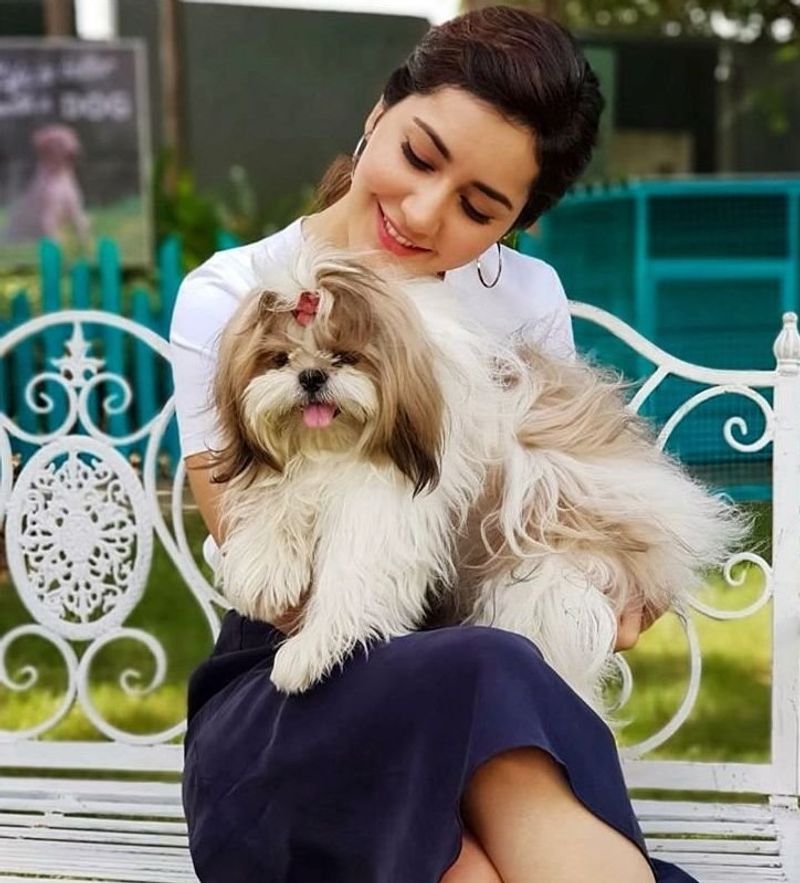 Movie Celebs and their pets