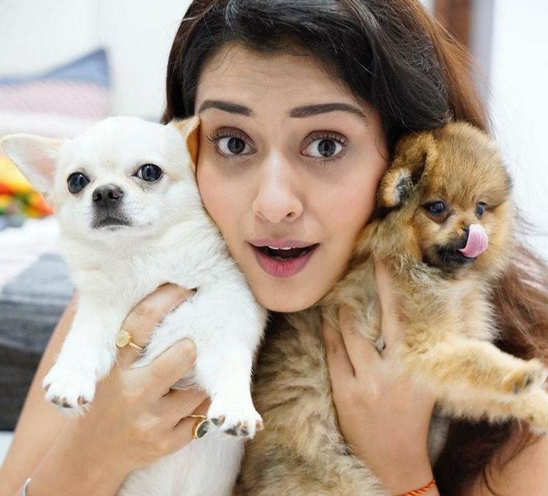 Movie Celebs and their pets