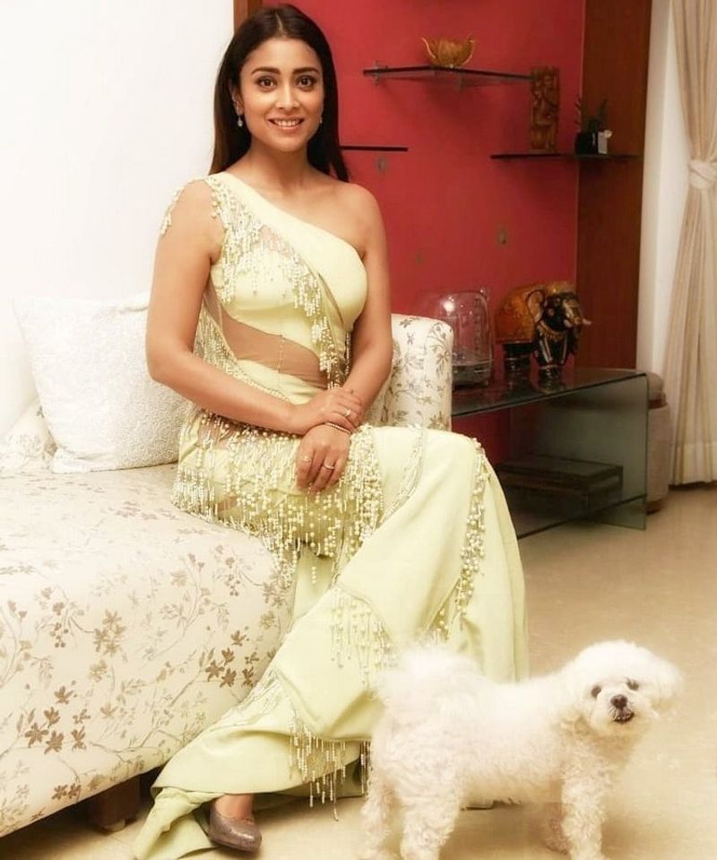 Movie Celebs and their pets