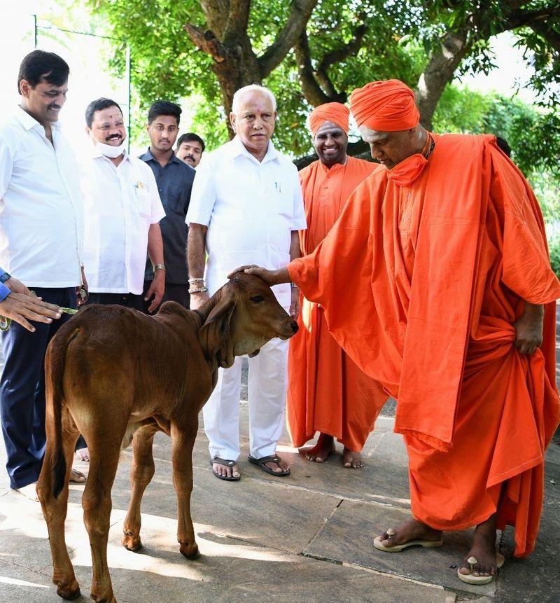 ಸಿಎಂ ಕಾವೇರಿ ನಿವಾಸದಲ್ಲಿರುವ ಕರುವನ್ನು ಮೈದಡವಿದ ಶ್ರೀಗಳು
