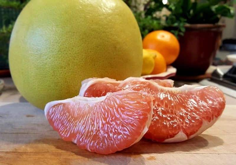 how to grow pomelo
