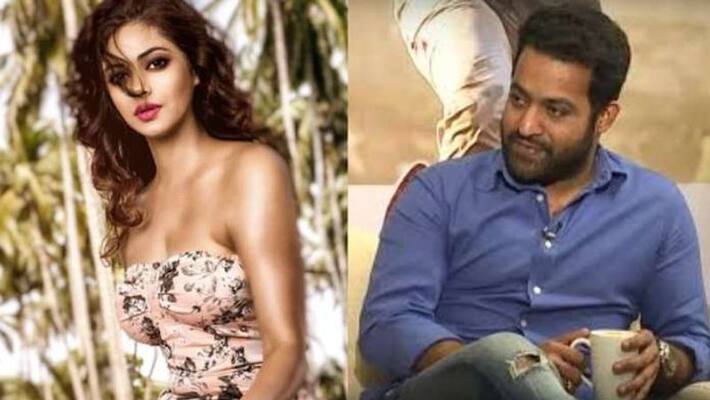 Jr NTR Fans Vs Meera Chopra Case Update Jr NTR Fans Vs Meera Chopra Case Update