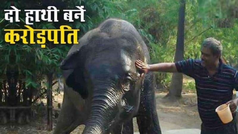 पटना से सटे जानीपुर निवासी और एरावत संस्था के मुख्य प्रबंधक अख्तर इमाम 10 साल से अपनी बीवी और बच्चे से अलग रह रहे हैं। वे बताते हैं कि वह 12 साल की उम्र से ही हाथियों की सेवा कर रहे हैं। 