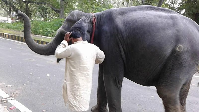 ಕೌಟುಂಬಿಕ ಕಲಹದ ಕಾರಣ ಹಹತ್ತು ವರ್ಷದ ಹಿಂದೆ ಅವರ ಹೆಂಡತಿ, ಇಬ್ಬರು ಗಂಡು ಮಕ್ಕಳು ಹಾಗೂ ಒಂದು ಹೆಣ್ಣು ಮಗುವಿನೊಂದಿಗೆ ತವರಿಗೆ ಹೋಗಿದ್ದರು. ಸಾಲದೆಂಬಂತೆ ಆಸ್ತಿ ಗಳಿಸುವ ಆಸೆಯಿಂದ ಅವರ ಮಗ ಮೆರಾಜ್(ರಿಂಕೂ) ತನ್ನದೇ ಪ್ರೇಯಸಿಯ ಮೇಲೆ ಅತ್ಯಾಚಾರವೆಸಗಿರುವ ಸುಳ್ಳು ಆರೋಪ ಹೊರಿಸಿ ಜೈಲಿಗೂ ಕಳುಹಿಸಿದ್ದರು.
