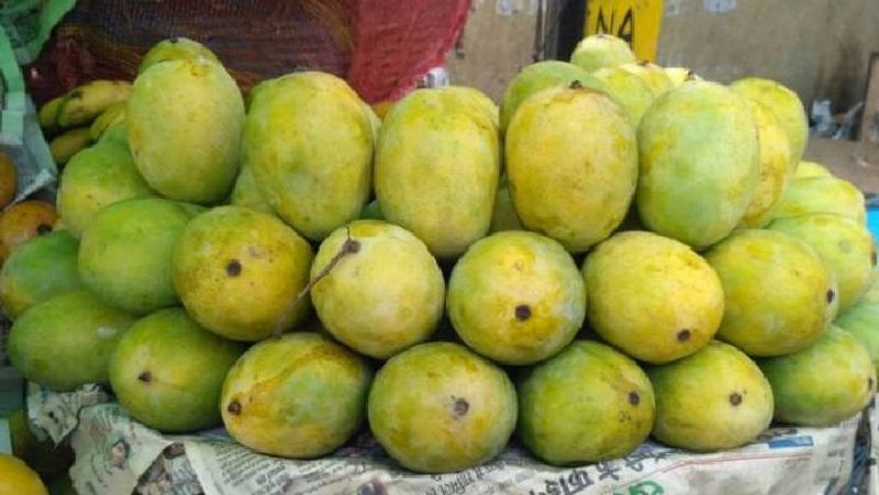 जर्दालू आम को जीआई (जियोग्राफिकल इंडिकेशन टैग) मिल चुका है, जिससे इसे अंतर्राष्ट्रीय पहचान मिल गई है। प्रधानमंत्री के 'वोकल फॉर लोकल' के मंत्र का पालन करते हुए जर्दालू आम को अंतर्राष्ट्रीय ब्रांड बनाने की पहल की जा रही है।

