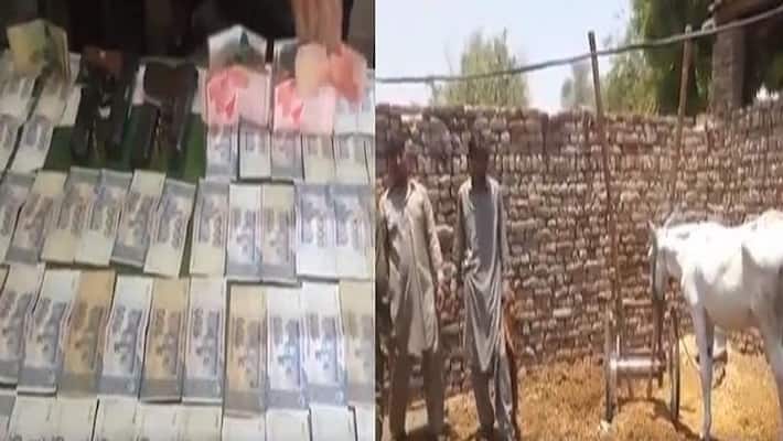 Pakistan Donkey involved in gambling case released Pakistan Donkey involved in gambling case released