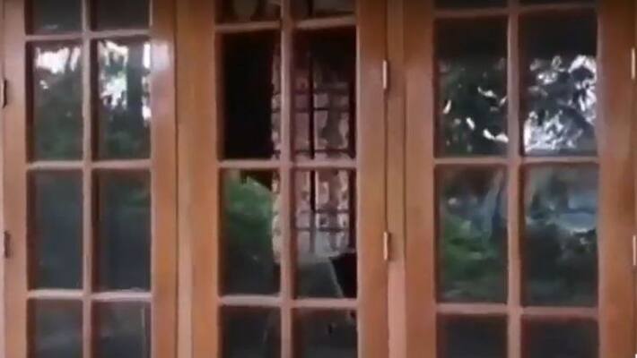 strangers attacked a house that had been vacated for quarantine strangers attacked a house that had been vacated for quarantine