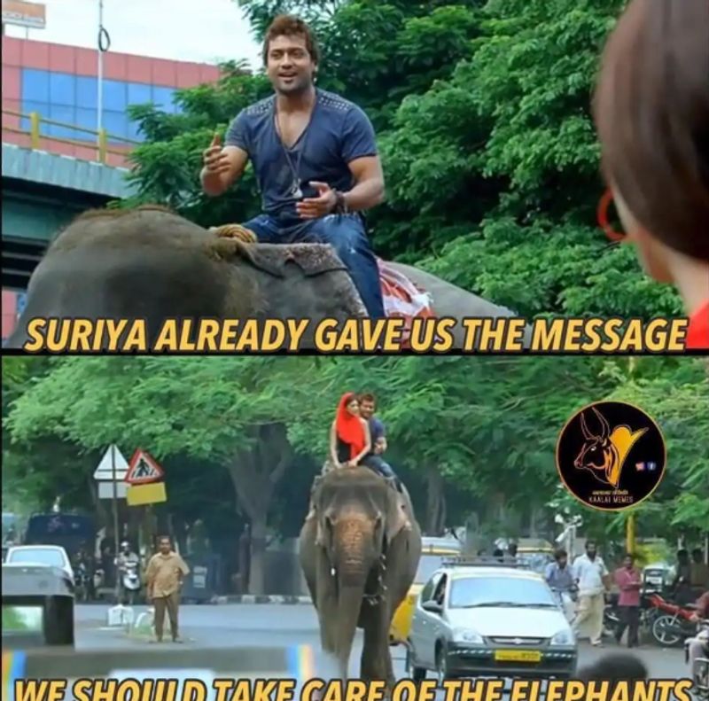 “7ம் அறிவு” படத்தில் யானையை மருத்துவமனைக்கு கூட்டிப்போனது இதுக்கு தானா?