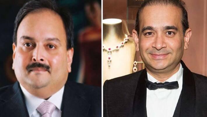 ED brings back Nirav Modi and Mehul Choksi jewellery Rs 1350 Crores from Hong Kong KPP ED brings back Nirav Modi and Mehul Choksi jewellery Rs 1350 Crores from Hong Kong KPP