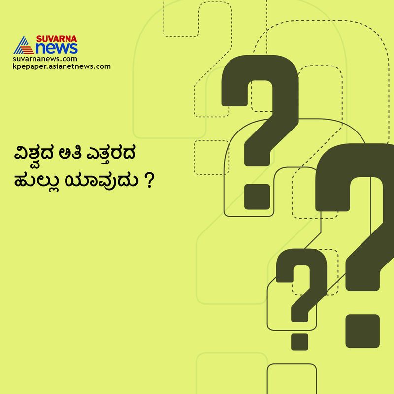 ಉತ್ತರ: ಬಿದಿರು