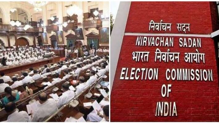 dmk mls's count decreased dmk mls's count decreased