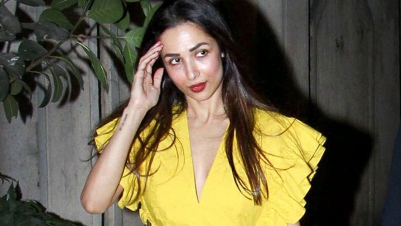  Malaika Arora and Arjun Kapoor have found love in each other
