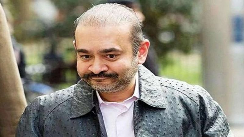 Nirav Modi extradition trial to resume in UK court tomorrow