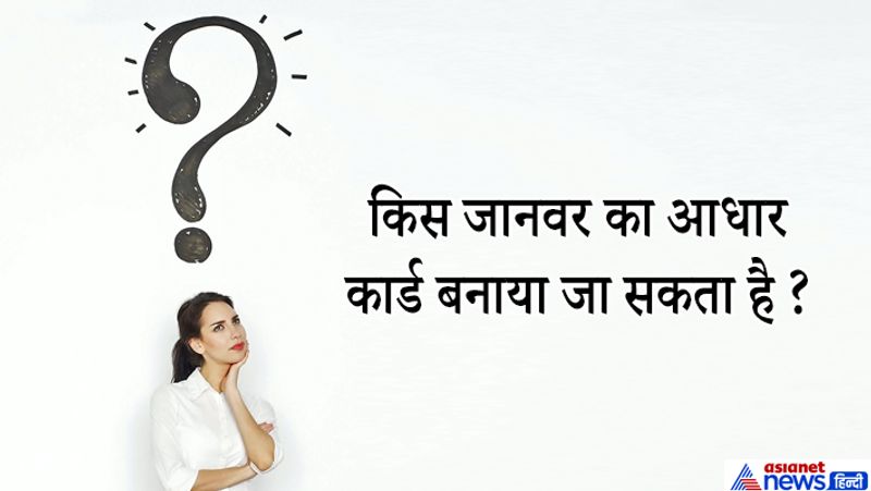 जवाब: कोआला नाम का एक जानवर है जिसका आधार कार्ड बनाया जा सकता है। इस जानवर के फिंगर प्रिंट एकदम इंसान के जैसे ही होते हैं।