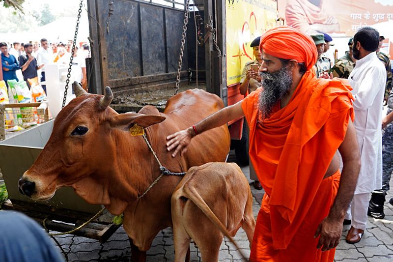 भारत में बनी कुछ और भी दवाएं
भारत में कोरोना के रेमडेसिवीर नाम की भी एक दवा है। ये एक एंटीवायरल दवा है, जिसे सबसे पहले 2014 में इबोला के इलाज में इस्तेमाल किया गया था। WHO के ट्रायल में इस दवा को Covid-19 के कारगर इलाजों में से एक माना गया है। यह शरीर में वायरस रेप्लिकेशन को रोकता है। पिछले महीने, अमेरिका के नेशनल इंस्टीट्यूट ऑफ एलर्जी एंड इन्फेक्शियस डिजीज ने शुरुआती ट्रायल के आधार पर बताया था कि रेमडेसिवीर देने वाले कोरोना के मरीजों में 11 से 15 दिनों तक में सुधार हुआ है। ड्रग कंट्रोलर जनरल ऑफ इंडिया ने 1 जून को रेमडेसिवीर के इस्तेमाल को मंजूरी दे दी। गंभीर रूप से बीमार कोरोना के मरीजों को अब डॉक्टरों की तरफ से ये दवा दी जा रही है।