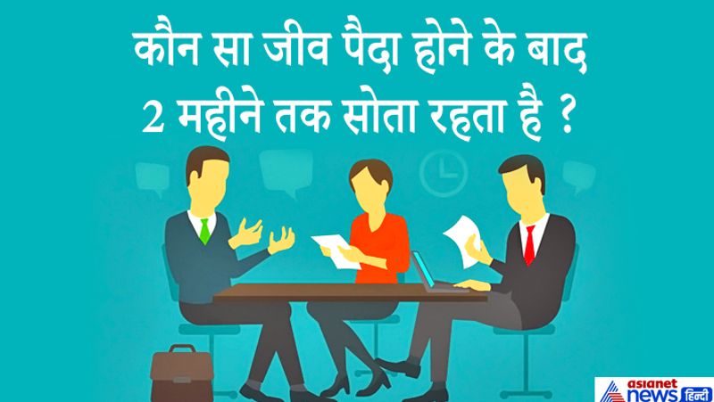 जवाब: भालू