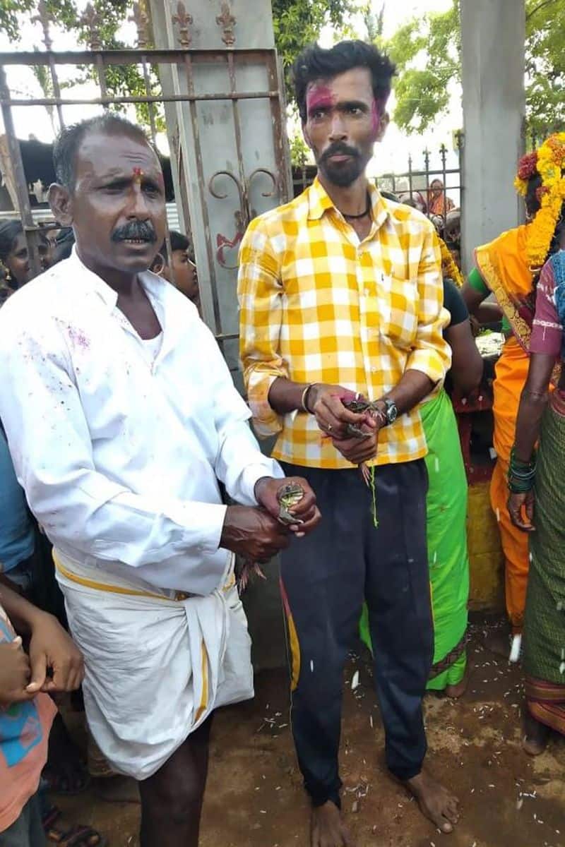 Frog Marriage Held Hanumasabagara in Koppal District
