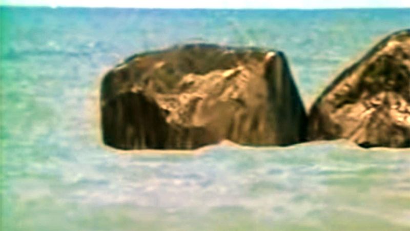 सुनील लहरी बताते हैं कि जब सभी लोगों ने चारों कैमरे के मिक्स रिजल्ट देखे तो सभी हैरान रह गए। ऐसा लग ही नहीं रहा था कि ये चार कैमरों की रिकॉर्डिंग है और बिना किसी बड़े पुल के यह पूरा सीन शूट हुआ है।

