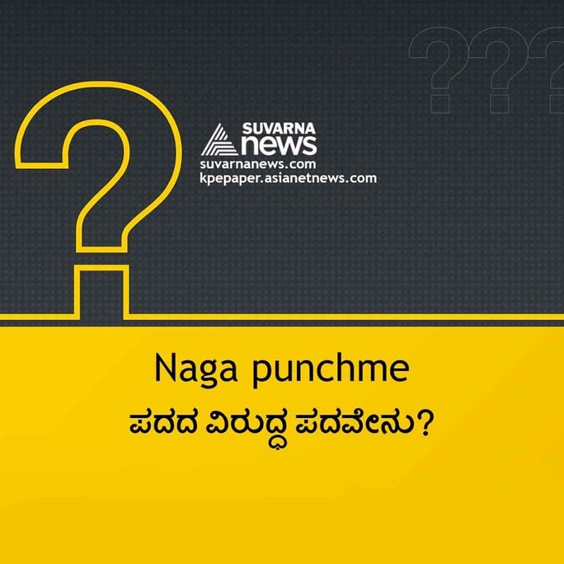 ಉತ್ತರ : ನಾಗ did n't punch me.