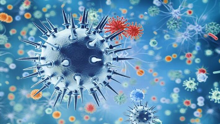 YCP MLA From Andhra Pradesh Tests Positive For Coronavirus YCP MLA From Andhra Pradesh Tests Positive For Coronavirus