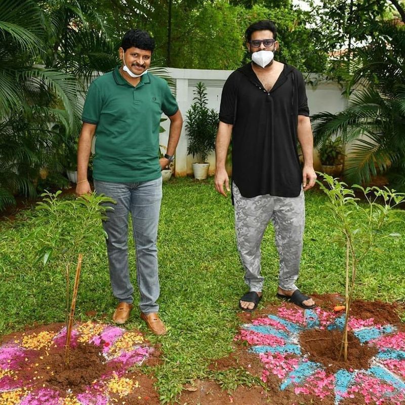 ஒருவழியா மரங்களை நட்டு வச்சாச்சு...