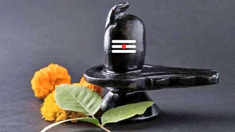 2. यदि कोई व्यक्ति किसी पीपल के नीचे शिवलिंग स्थापित करता है और नियमित रूप से उस शिवलिंग का पूजन करता है तो समस्याएं समाप्त हो सकती हैं। इस उपाय से बुरा समय धीरे-धीरे दूर हो सकता है।
