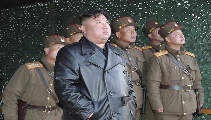 North Koreas Kim Jongun in coma sister Kim Yo-jong to take over BSS