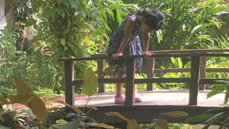 ट्विंकल को गार्डनिंग का शौक है। उन्होंने अपने गार्डन में कई वैरायटी के फूल और पेड़ लगा रखे हैं। 