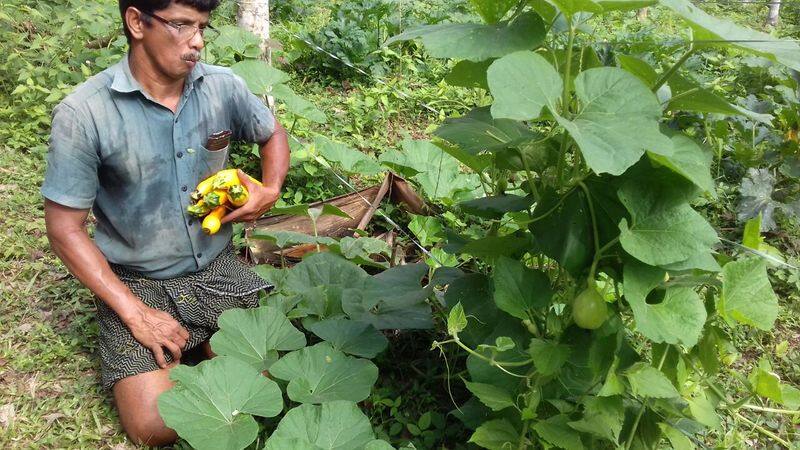 success story of farmer sidhik from nilambur