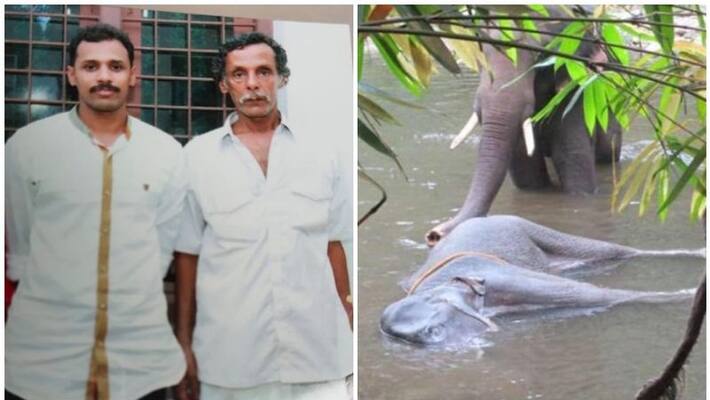 look out notice issued for main accused in palakkad elephant death case look out notice issued for main accused in palakkad elephant death case