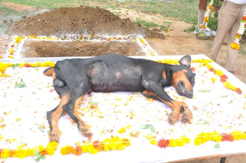 ಶಾಸೊತ್ರೕಕ್ತವಾಗಿ ಅಂತ್ಯಸಂಸ್ಕಾರ ನೆರವೇರಿಸಿದ ಗಾಳಿಯಲ್ಲಿ ಮೂರು ಸುತ್ತು ಗುಂಡು ಹಾರಿಸಿ ಗೌರವ ಸಲ್ಲಿಸಿದ ಪೊಲೀಸ್ ಇಲಾಖೆ