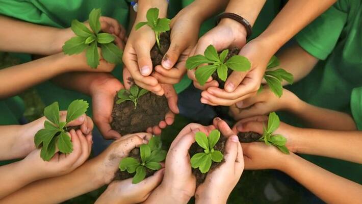These remedies related to trees and plants can make your problem easy, every wish can be fulfilled KPI These remedies related to trees and plants can make your problem easy, every wish can be fulfilled KPI