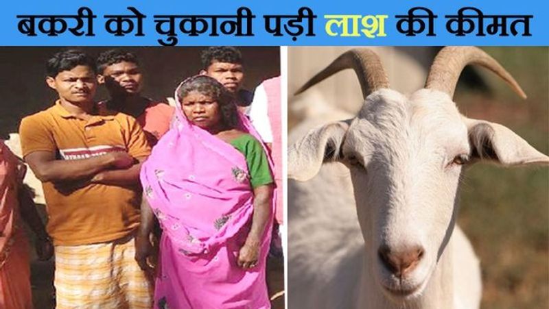 यह मामला झारखंड के लातेहार में कुछ दिनों पहले सामने आया था। देवीचरण सिंह नामक शख्स पर जंगल में लकड़बग्घे ने हमला कर दिया था। उसे रांची के रिम्स में भर्ती कराया गया था। लेकिन उसकी मौत हो गई। मृतक की पत्नी चरकी देवी ने रोते हुए बताया कि अगर वन विभाग मदद कर देता और हॉस्पिटल में सही इलाज मिल जाता, तो उसके पति को बचाया जा सकता था। वे गरीब हैं, इसलिए इतना पैसा भीं नहीं था कि किसी प्राइवेट हॉस्पिटल में इलाज करा सकते। पति की लाश घर तक ले जाने के लिए एम्बुलेंस मांगी, तो हॉस्पिटल ने अनाकानी कर दी। विवश होकर उन्हें अपनी आखिरी बकरी भी बेचकर पैसों का इंतजाम करना पड़ा। यह परिवार तरवाडीह पंचायत में रहता था। 