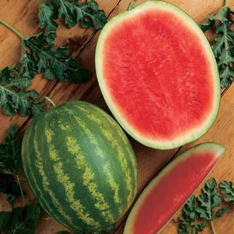 seedless water melon