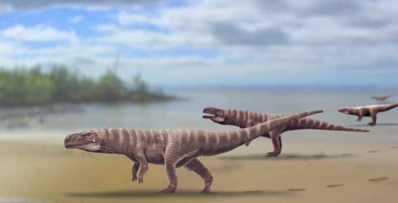crocodile running like ostrich in two legs, proof of such existence unearthed by paleontologists in Korea