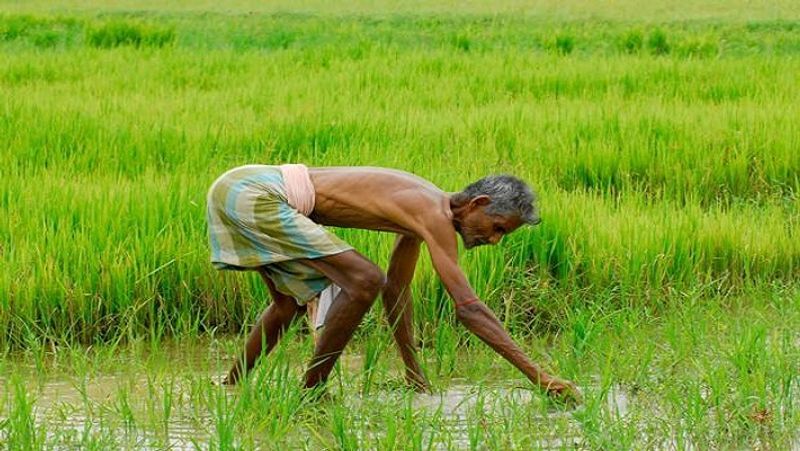 If installment of 2000 rupees is not deposited in account of PM Kisan scheme, then do this process MJA