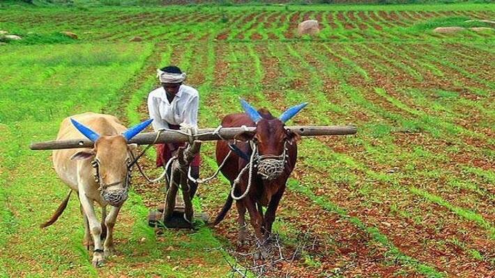 Telangana government issues new guidelines for rythubandhu scheme Telangana government issues new guidelines for rythubandhu scheme