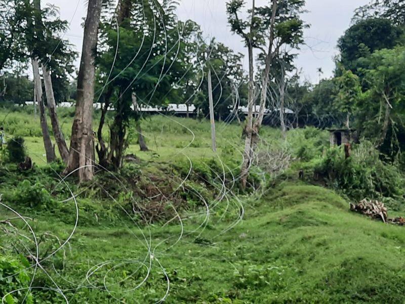 farmers have found new fencing method to protection from wild elephant