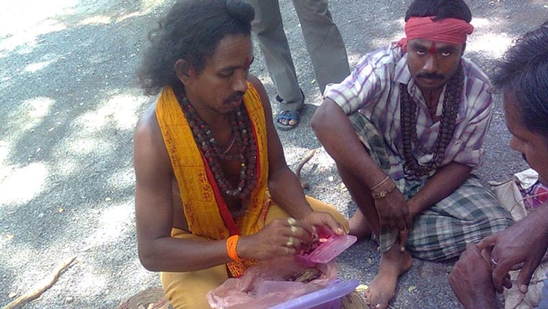 बता दें कि बैगा छत्तीसगढ़ के अलावा मध्यप्रदेश और झारखंड में पाई जाने वाली एक जनजाति है। जिनमें तंत्र-मंत्र का विशेष चलन है। ये सांप पकड़ने का हुनर भी जानते हैं। (प्रतीकात्मक तस्वीर)