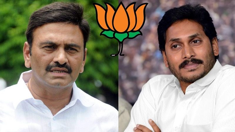 స్పీకర్ అనర్హత వేటు వేయాలన్నా ఆయన కొన్ని అంశాలను పరిగణలోకి తీసుకోవాల్సి ఉంటుంది. మొదటగా రఘురామ రాజీనామా చేశాడా అని? ఆయన రాజీనామా చేయలేదు. పోనీ వేరే పార్టీలో చేరాడా ? అది కూడా లేదు. బీజేపీతో సన్నిహితంగా ఉంటున్నప్పటికీ... అది చేరినట్టు కాదు. పోనీ పార్టీ విప్ ను ధిక్కరించాడా ? అది కూడా లేదు.