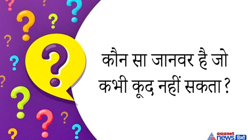 <p><strong>जवाब: </strong>हाथी, हाथी काफी बड़ा भारी जानवर होता है वो कभी कूद नहीं सकता। </p>