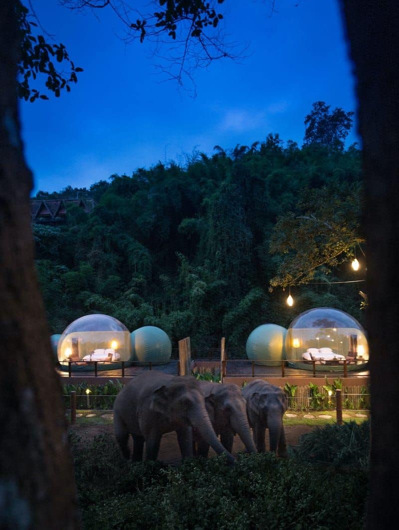 The jungle bubble resort of Thailand