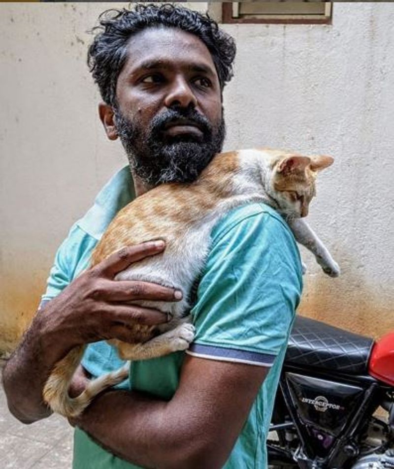 குழந்தை போல் தோளில் தொற்றிக்கொண்டு போகும் பூனை 