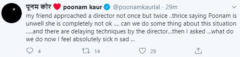 Poonam Kaur Sensational Comments on Star Director