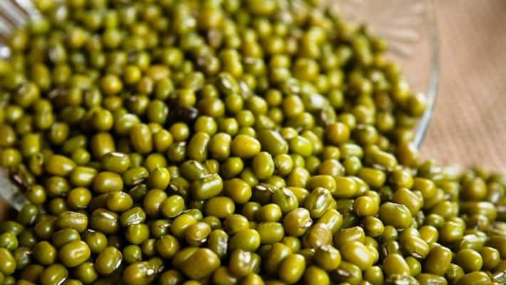central govt order to purchase Legumes with support price snr central govt order to purchase Legumes with support price snr