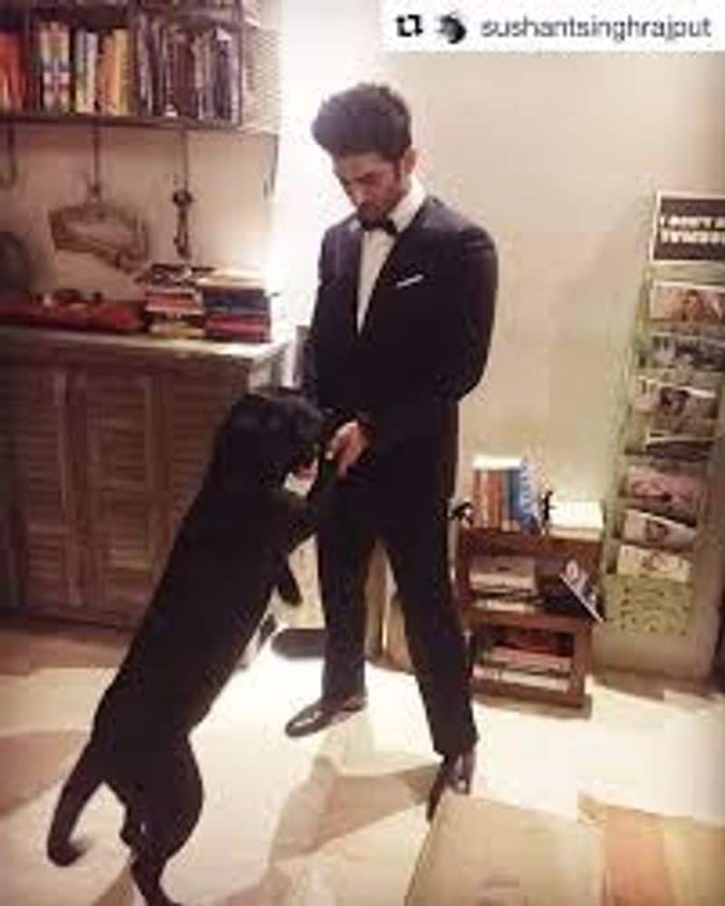 Now the latest topic of discussion is where Sushant’s pet dog Fudge is? Many have shared his pictures and videos with the actor playing with his pet. A few fans created TikTok videos of Fudge missing his owner and crying, watching Sushant's image on a mobile phone.
