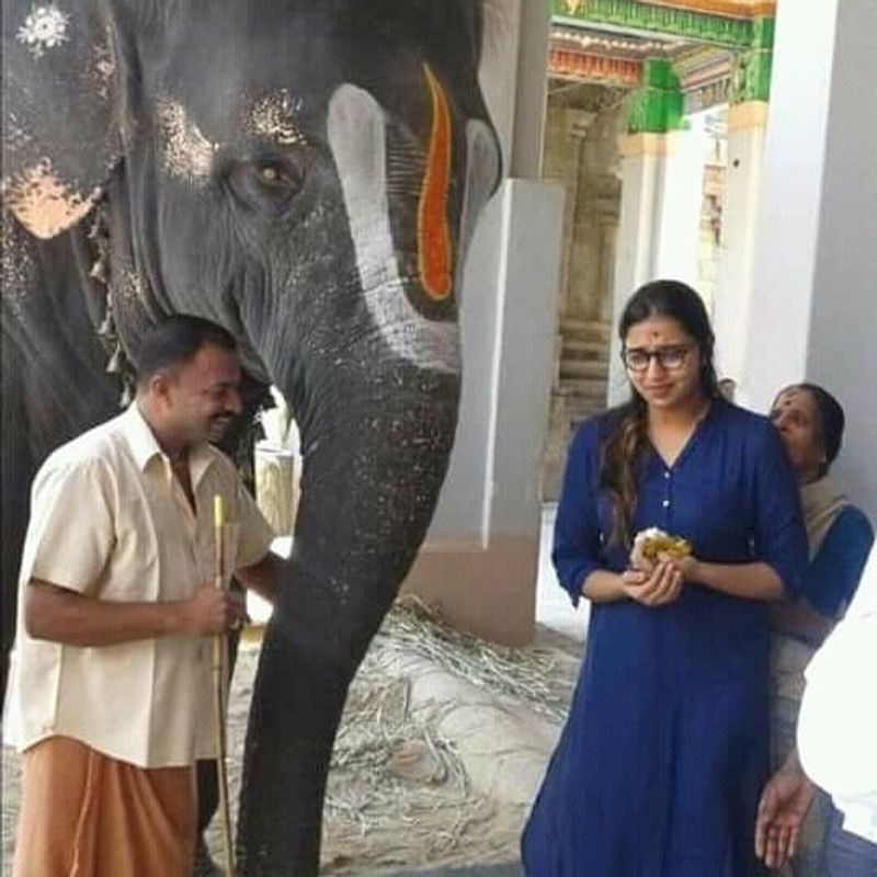 லட்சுமி மேனன் கோவிலுக்குள் யானையிடம் ஆசிர்வாதம் வாங்க பயப்படும் புகைப்படம் 