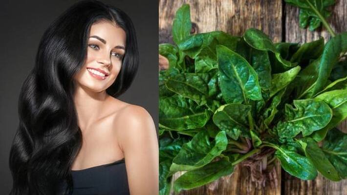 Spinach for the growth of hair Spinach for the growth of hair